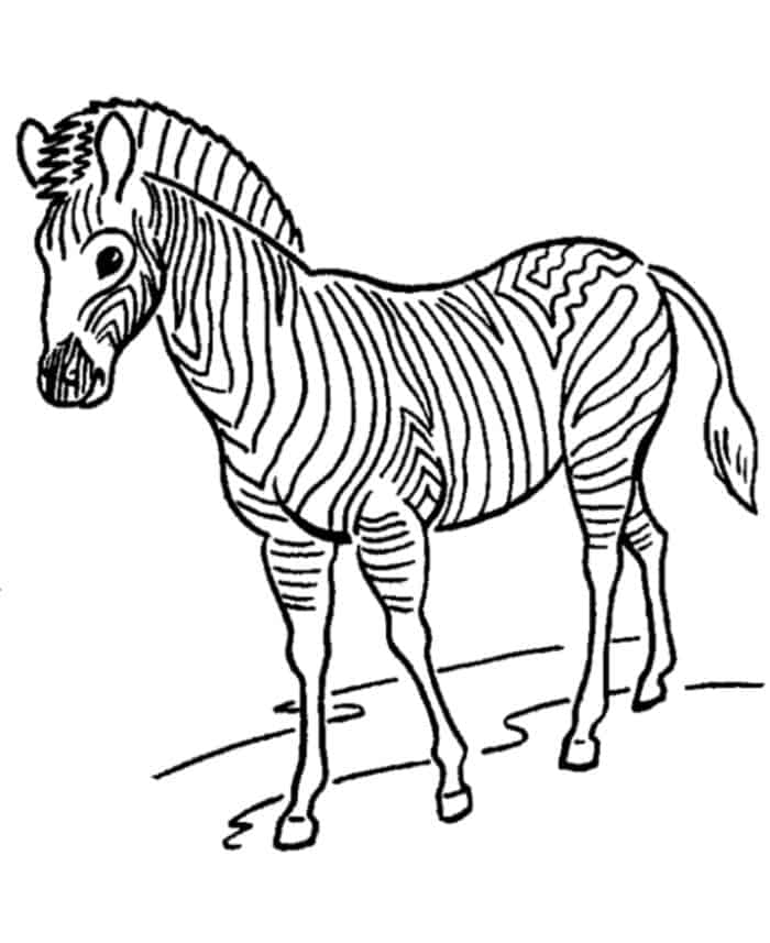 Zoo Animals Coloring Printouts Coloring Pages