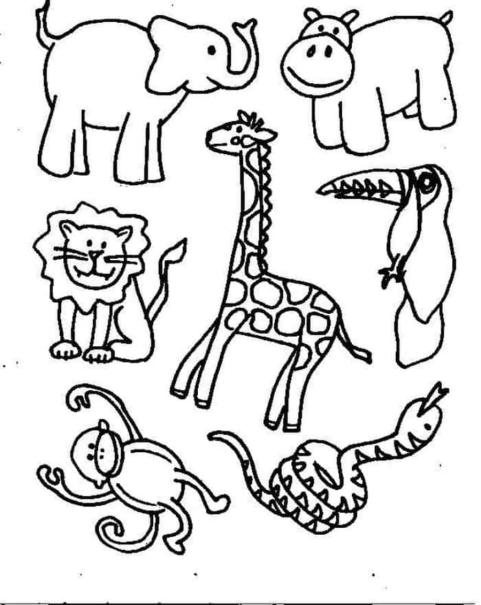 Zoo Coloring Book Pages
