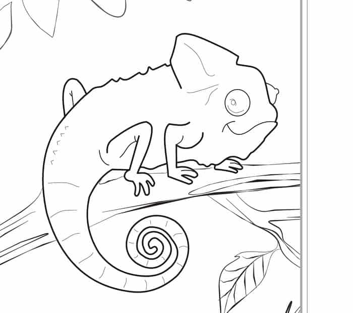 Zoo Coloring Pages For Kids