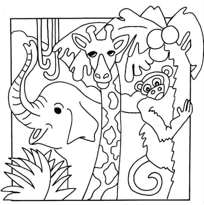 Zoo Coloring Pages Kindergarten