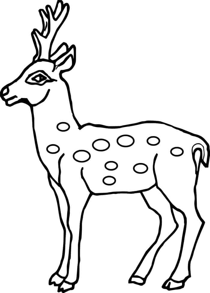 Adult Coloring Pages Deer