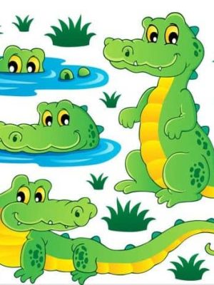 Alligator