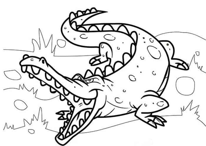 American Alligator Coloring Pages