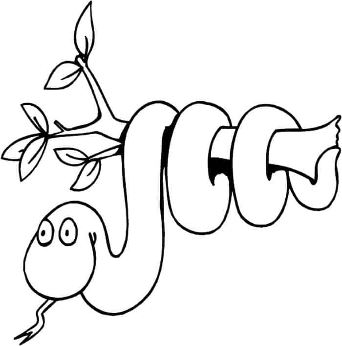 Boy Snake Coloring Pages