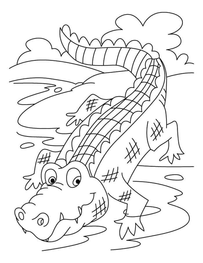 Castle Coloring Pages Alligator Moat