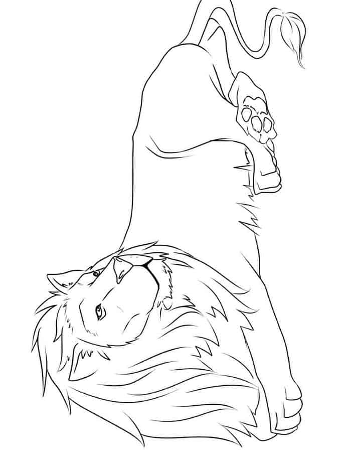 Coloring Pages Lion