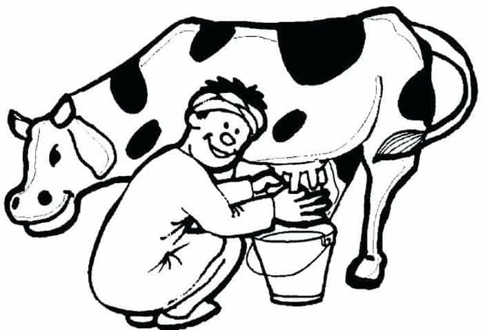 Cow Boy Coloring Pages