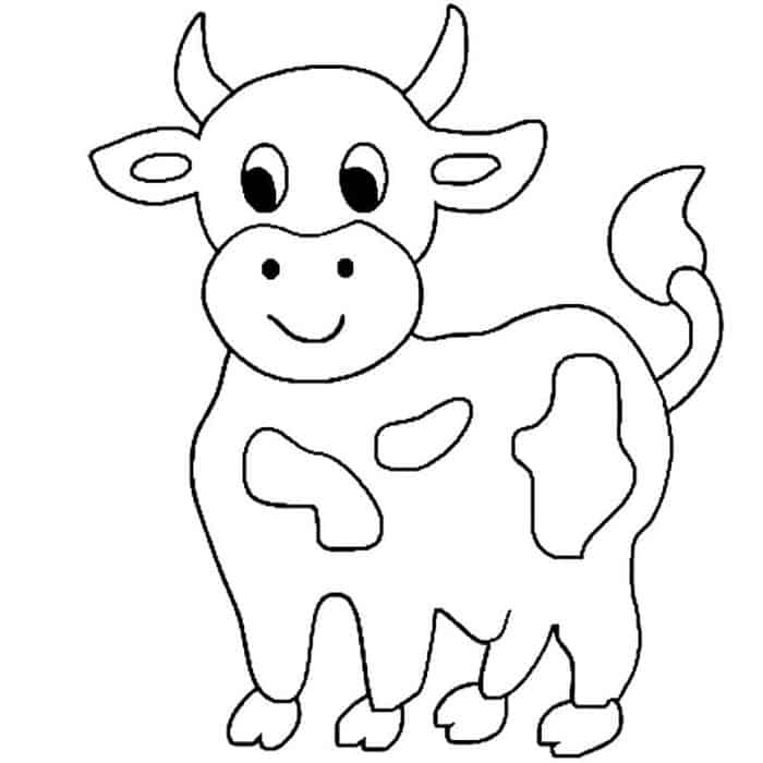 Cow Coloring Pages Free Printable