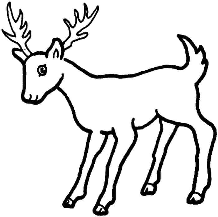 Deer Antler Coloring Pages