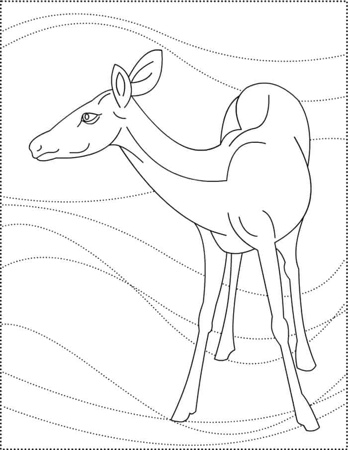 Female Deer Coloring Pages