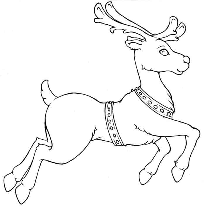 Free Printable Deer Coloring Pages