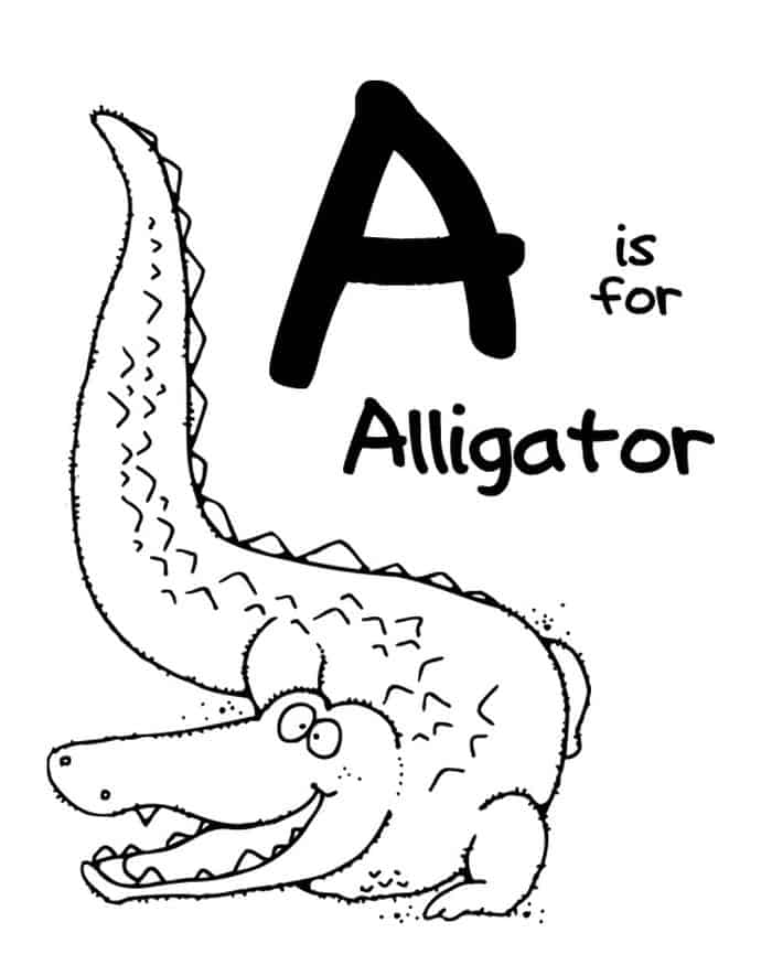Kindergarten Letterer Coloring Pages A Alligator