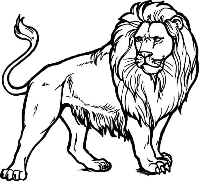 Lion Coloring Pages For Adults