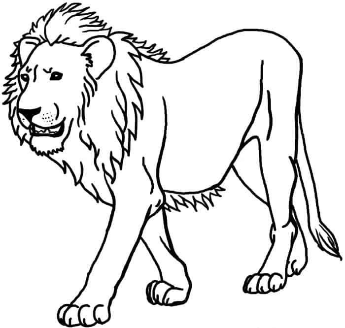 Lion Coloring Pages