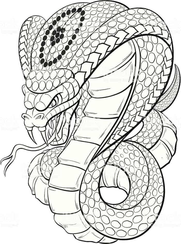 Mustang Cobra Snake Coloring Pages