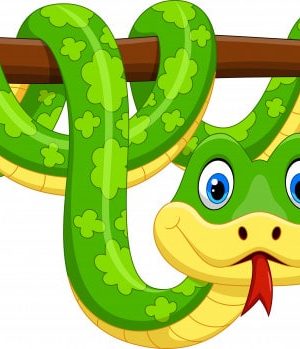 Snake