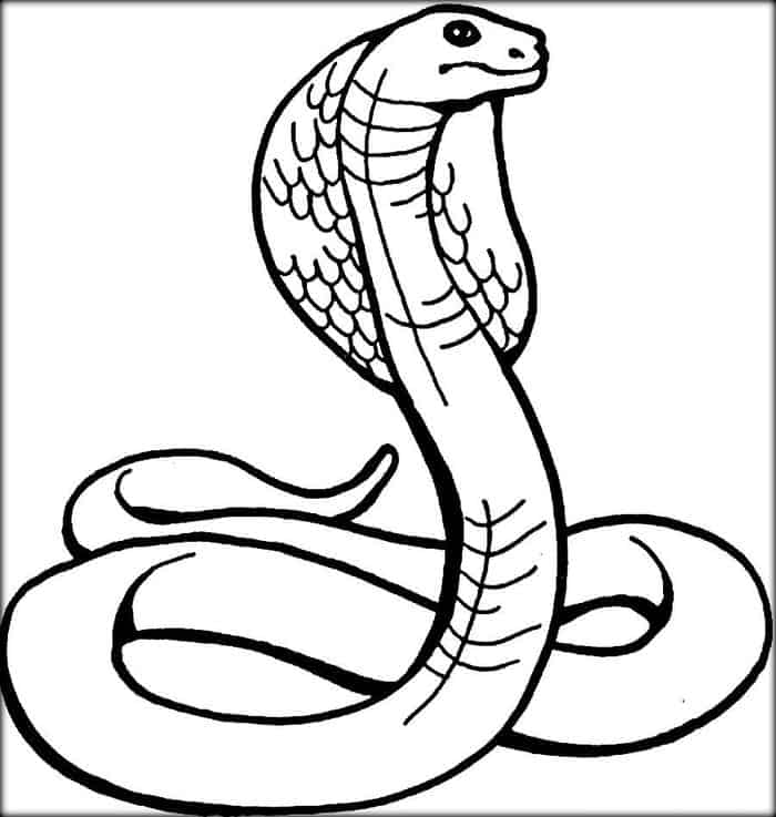 Snake Coloring Pages Printable