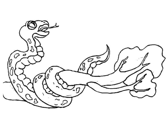 Snake Coloring Pages