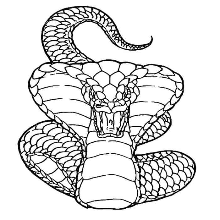 Snake Like Mega Forms Pokemon Coloring Pages