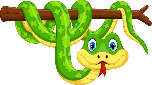 Snake