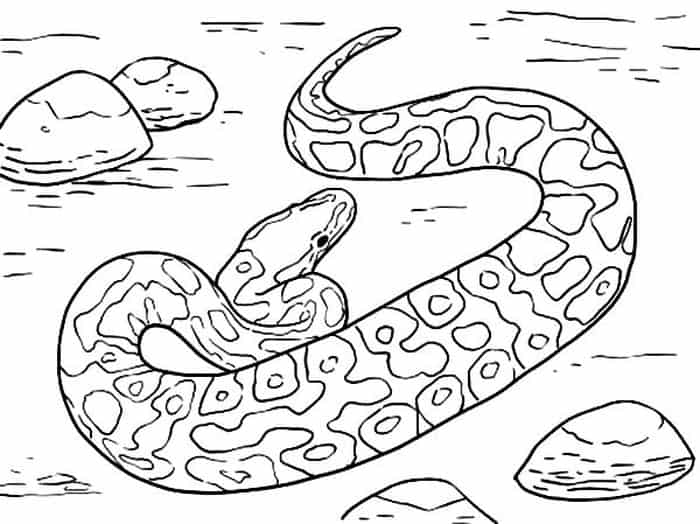 Water Snake Coloring Pages