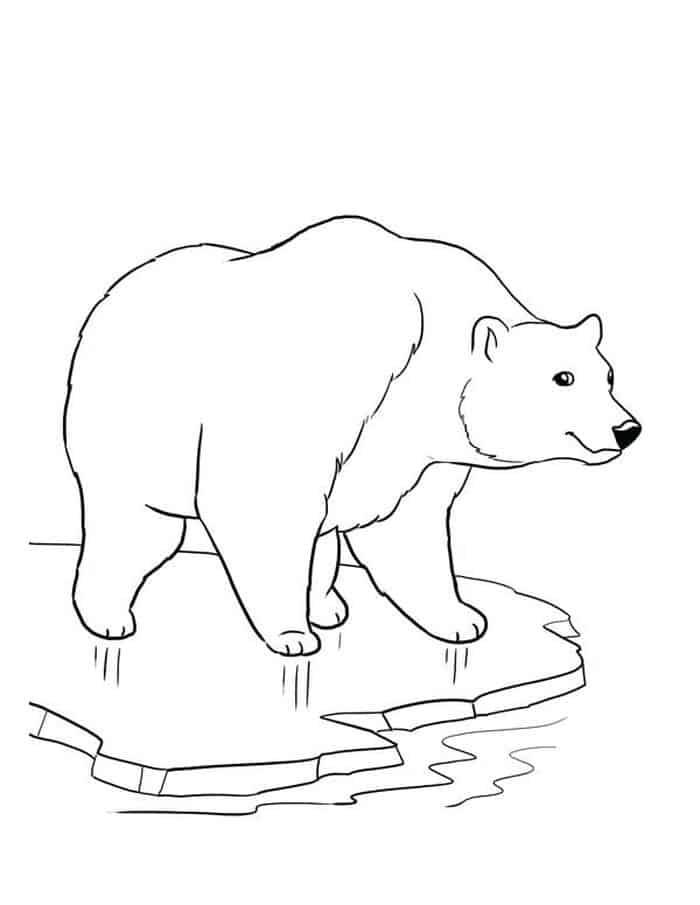 Winter Animal Coloring Pages