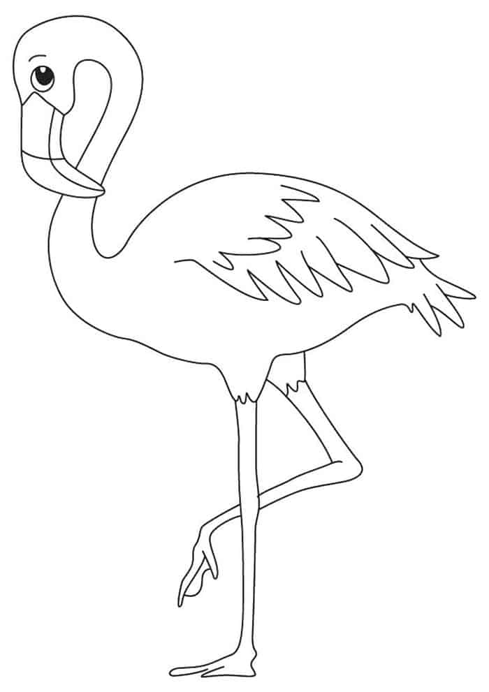 adult coloring pages of flamingo