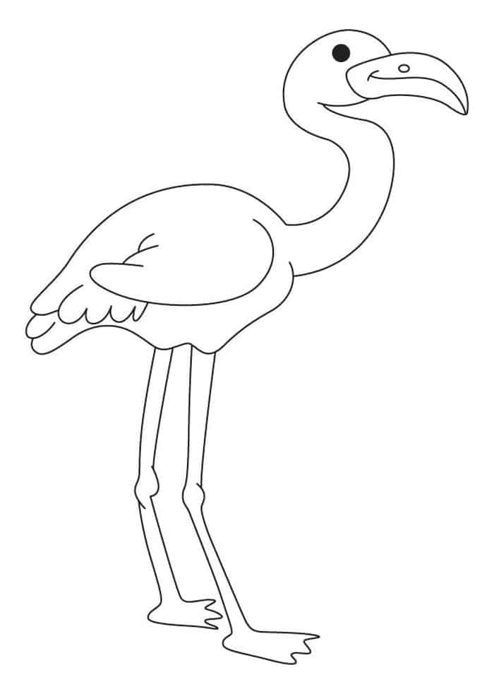 awkward flamingo coloring pages