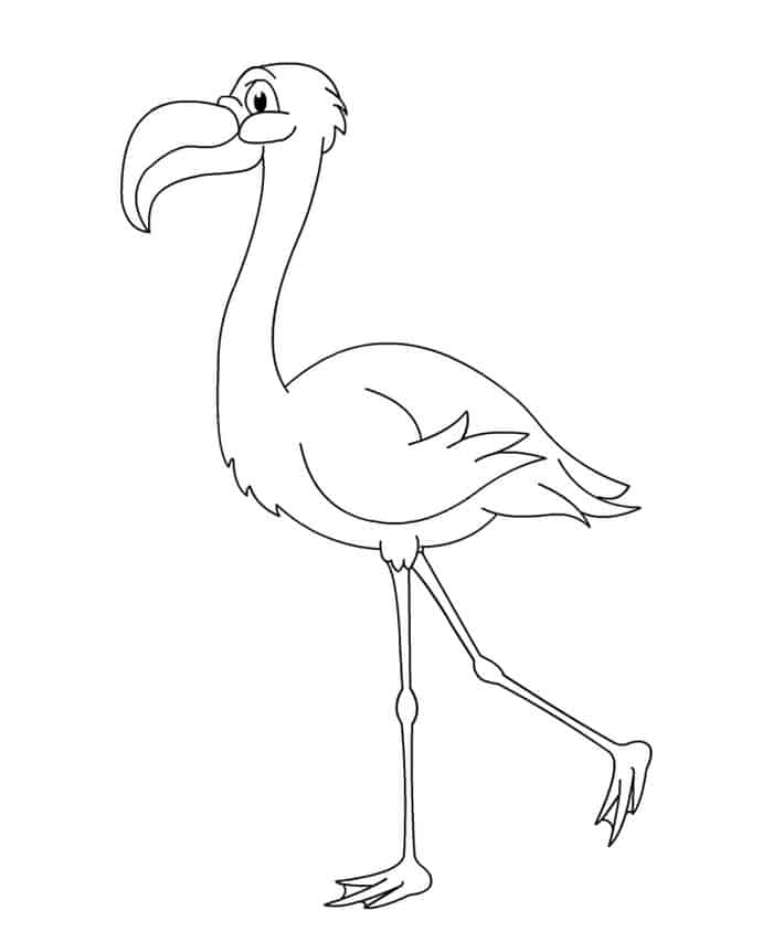 coloring pages flamingo