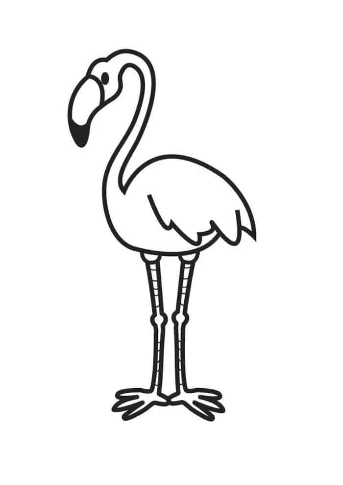 flamingo coloring pages