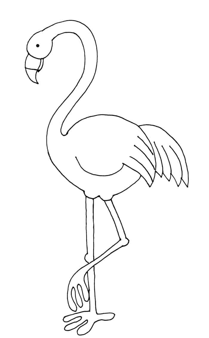 free coloring flamingo pages