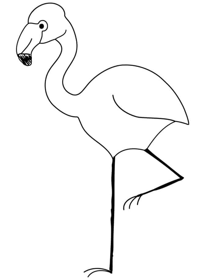 kindergarten coloring pages of flamingo