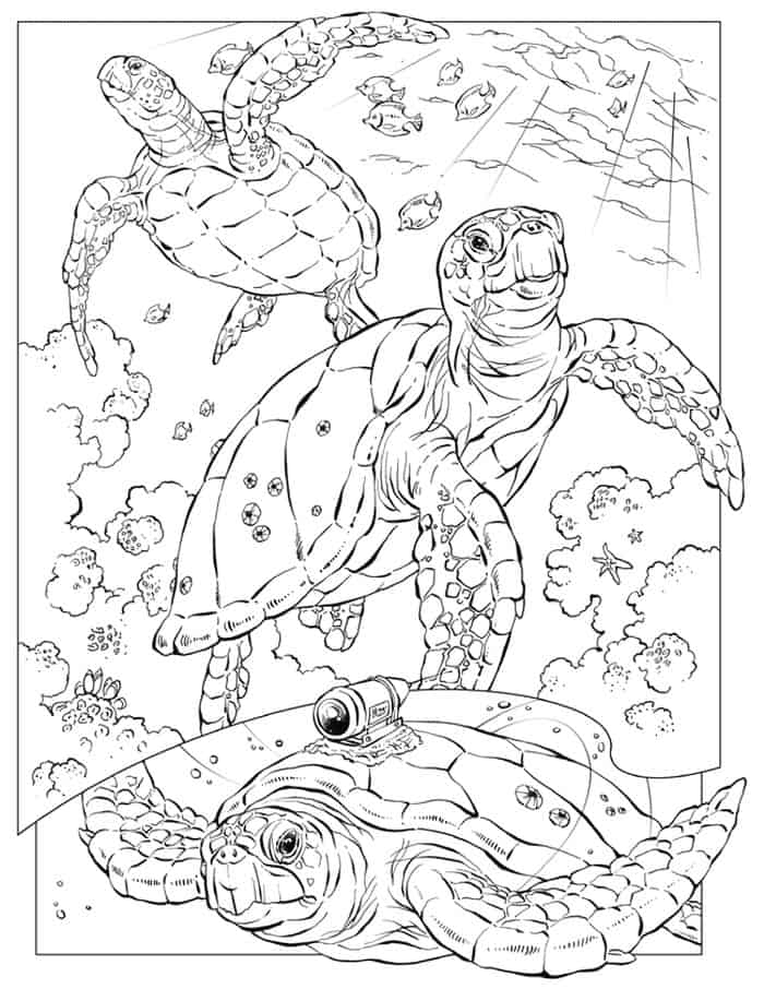 Adult Coloring Pages Sea Turtle Mandala