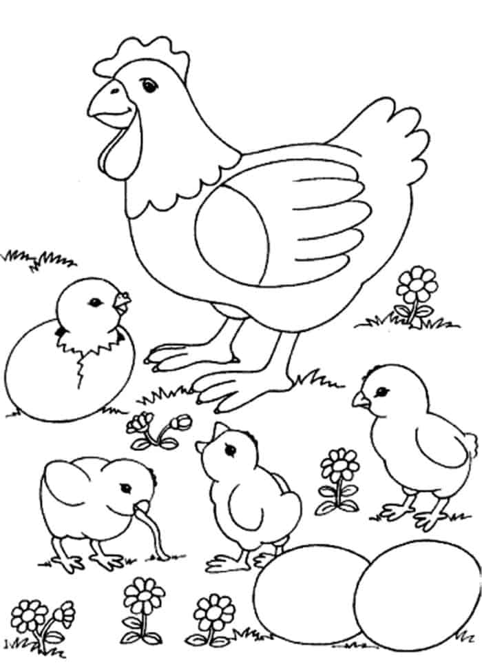 Alot Chicken Coloring Pages