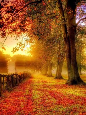 Autumn