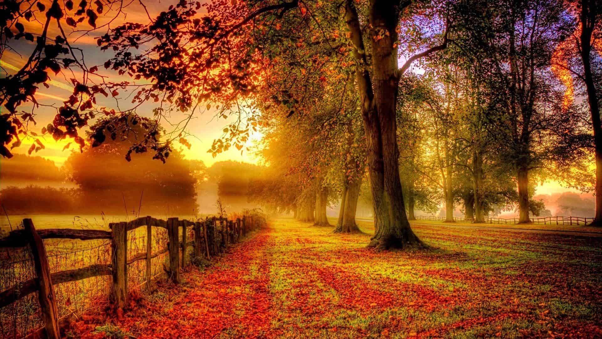 Autumn