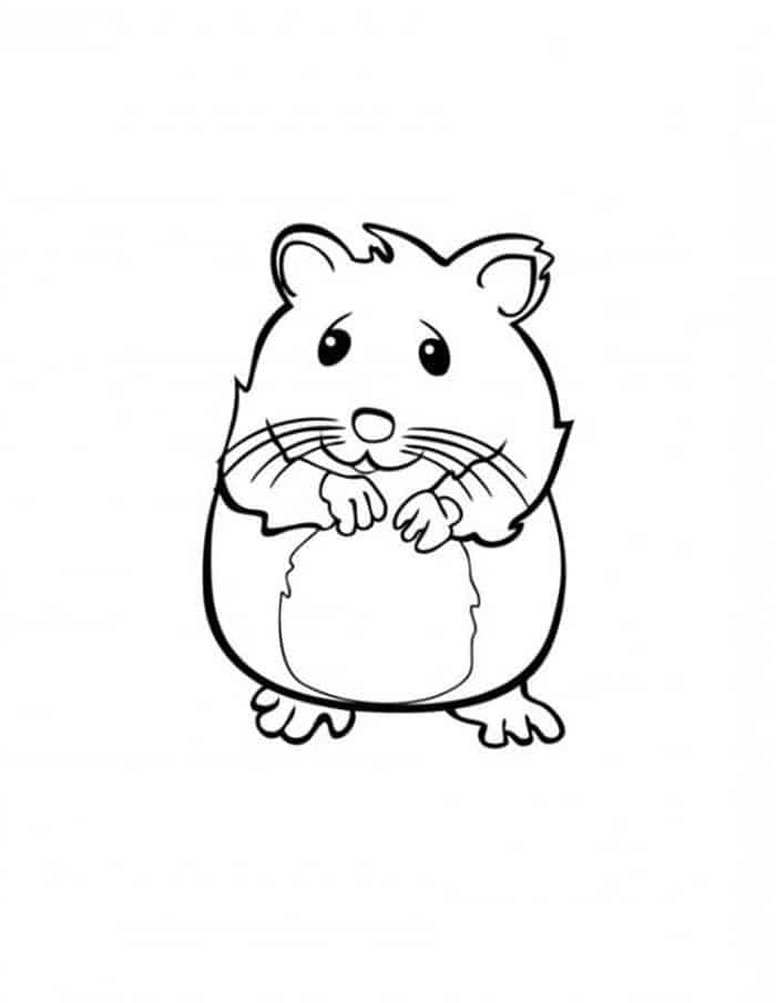 Baby Hamster Coloring Pages