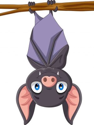 Bat