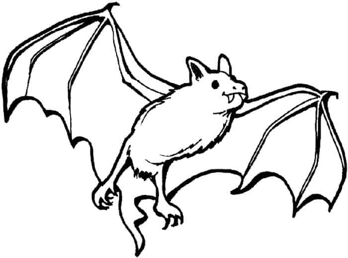 Bat Printable Coloring Pages