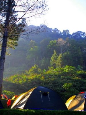 Camping