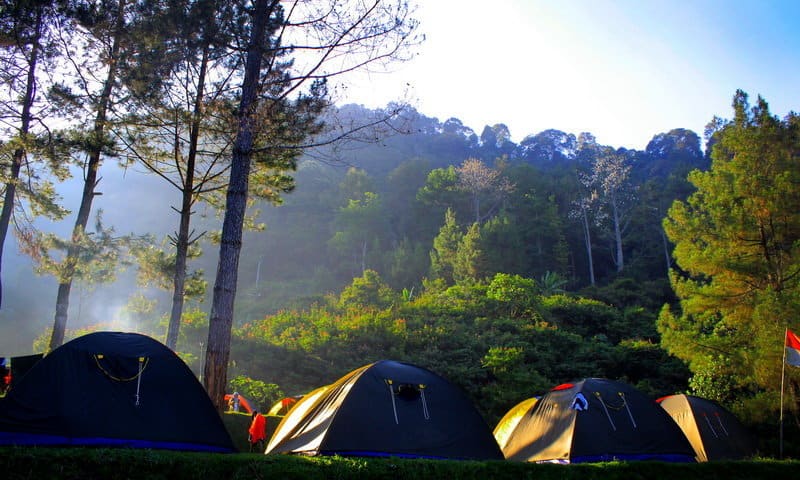 Camping