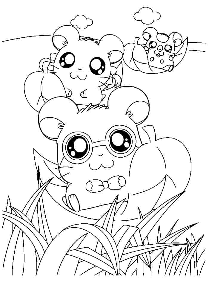 Cartoon Hamster Coloring Pages