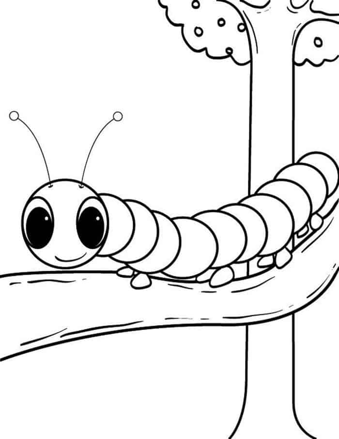 Caterpillar Coloring Pages For Children