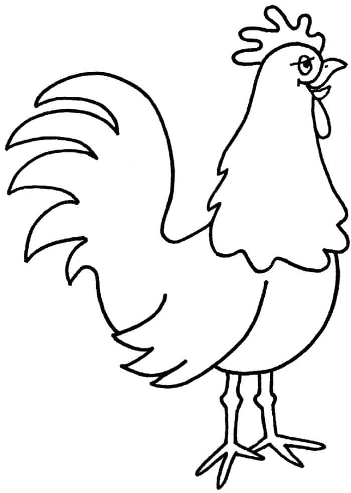 Chicken Adult Coloring Pages