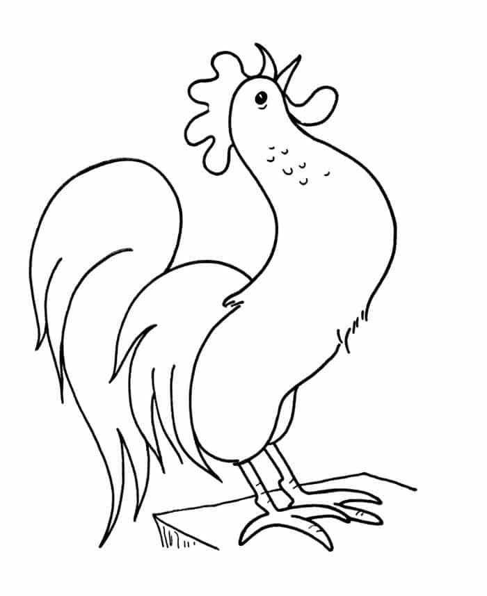 Chicken And Rooster Coloring Pages