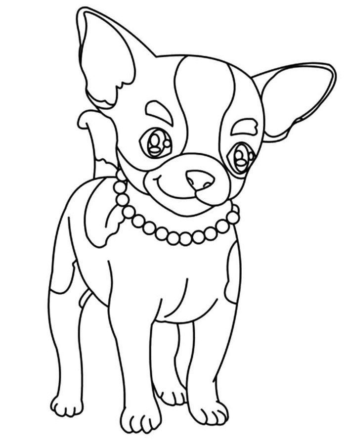 Chihuahua Coloring Pages Free