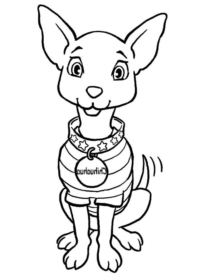 Chihuahua Mix Coloring Pages