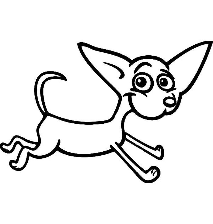 Chihuahua Printable Coloring Pages