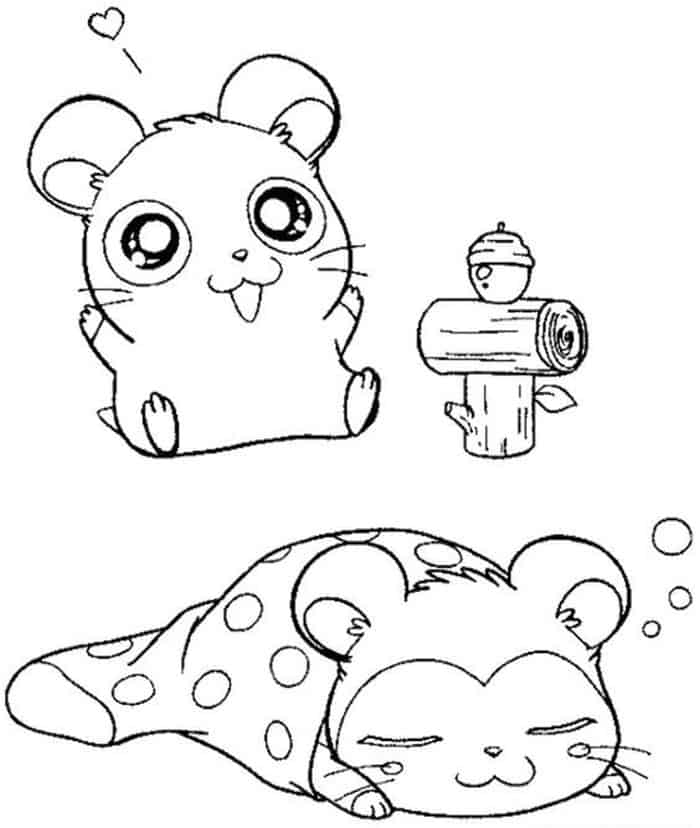 Coloring Hamster Printable Pages