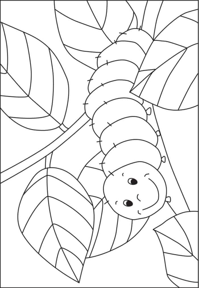 Coloring Pages Caterpillar